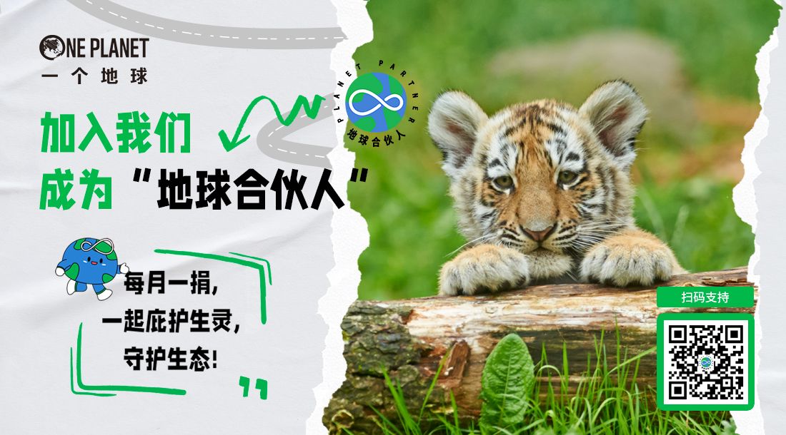 /uploads/image/2026/01/21/4bb71c37c0a772557a567de1b5916be9.jpg 地球合伙人 ©一个地球.jpg